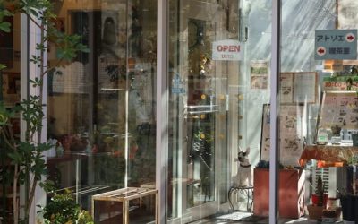 Evolución y tecnología de las puertas automáticas en Huelva: Seguridad y eficiencia