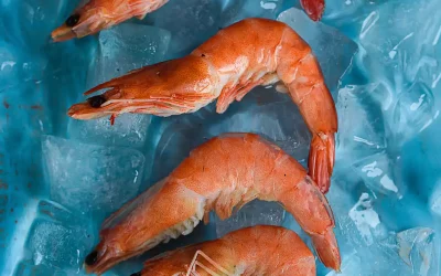 Beneficios de añadir marisco a tu dieta
