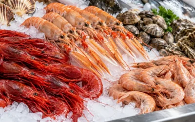 Venta al por mayor de marisco en Sevilla: cómo identificar un producto fresco y de calidad